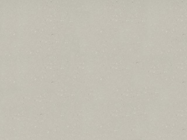 CLAM - Clamshell polished