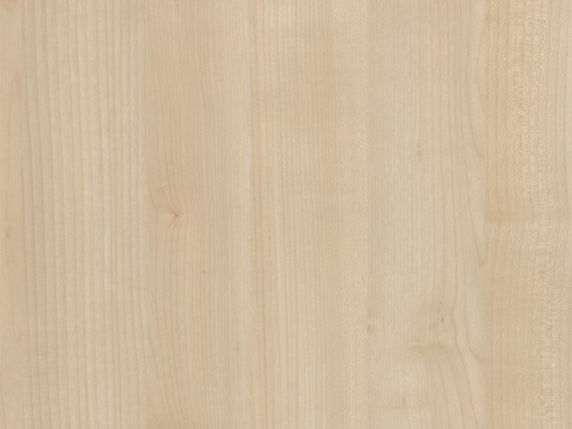 VZPPR10-210-R5853 - Noorse Esdoorn