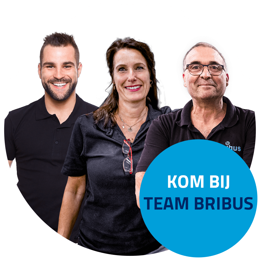 Team Bribus