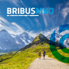 Bribus MVO (1)